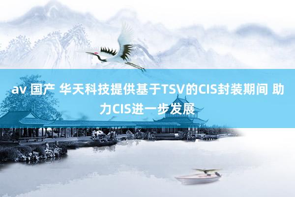 av 国产 华天科技提供基于TSV的CIS封装期间 助力CIS进一步发展