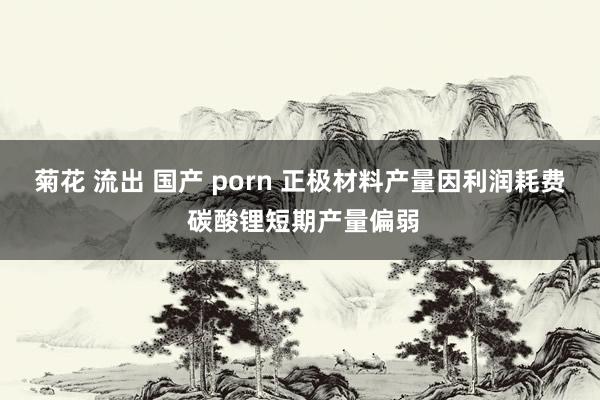 菊花 流出 国产 porn 正极材料产量因利润耗费 碳酸锂短期产量偏弱