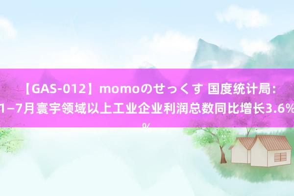 【GAS-012】momoのせっくす 国度统计局：1—7月寰宇领域以上工业企业利润总数同比增长3.6%