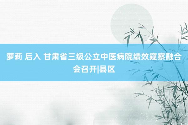 萝莉 后入 甘肃省三级公立中医病院绩效窥察融合会召开|县区