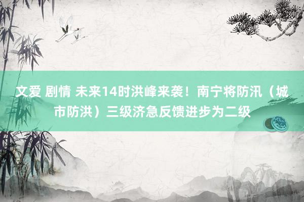 文爱 剧情 未来14时洪峰来袭！南宁将防汛（城市防洪）三级济急反馈进步为二级