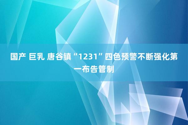 国产 巨乳 唐谷镇“1231”四色预警不断强化第一布告管制