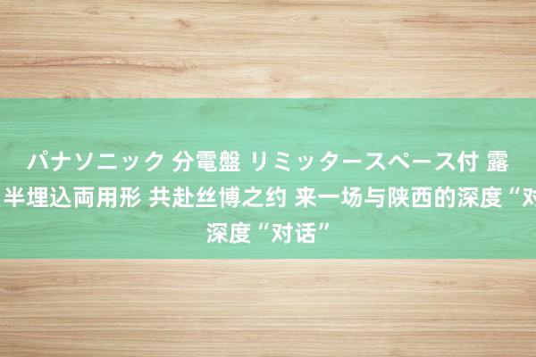 パナソニック 分電盤 リミッタースペース付 露出・半埋込両用形 共赴丝博之约 来一场与陕西的深度“对话”