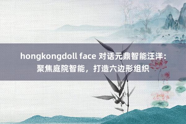 hongkongdoll face 对话元鼎智能汪洋：聚焦庭院智能，打造六边形组织