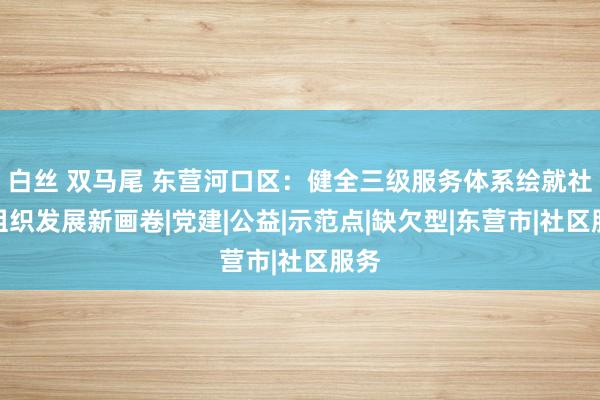 白丝 双马尾 东营河口区：健全三级服务体系绘就社会组织发展新画卷|党建|公益|示范点|缺欠型|东营市|社区服务